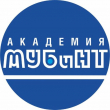 Международная академия бизнеса и новых технологий