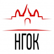 Новосибирский городской открытый колледж