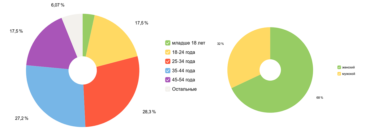 целевая аудитория портала БМ